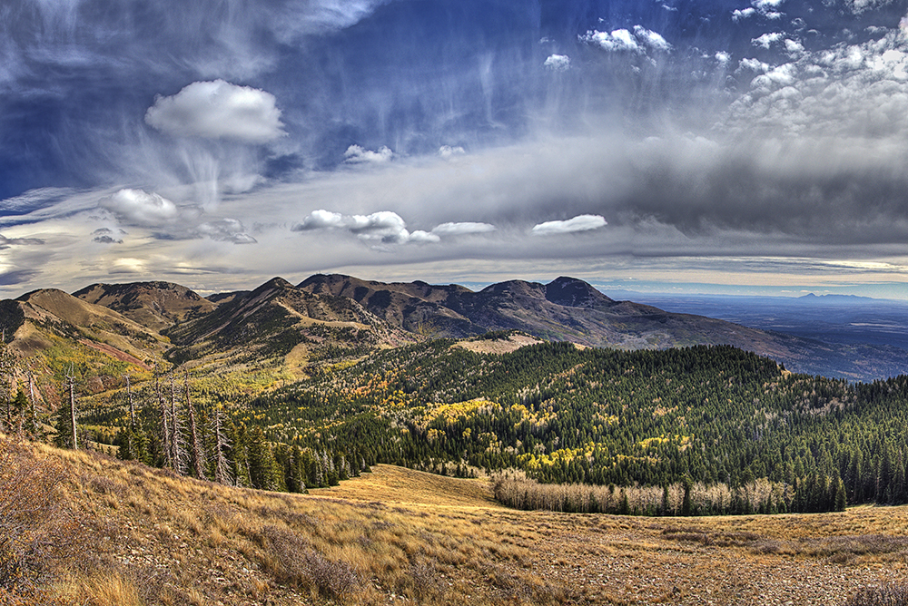 Bears Ears National Monument What Made the Cut? Grand Canyon Trust